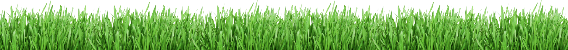 grass